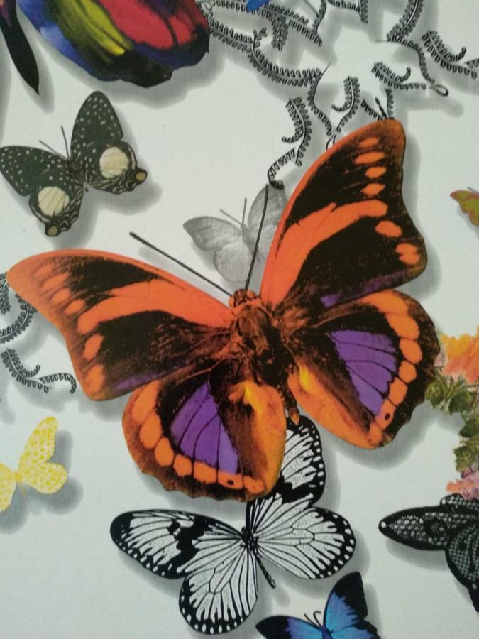 Sevilla Butterfly Suites 外观 照片