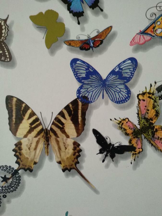 Sevilla Butterfly Suites 外观 照片